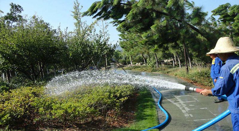 綠化養護的細節和方法